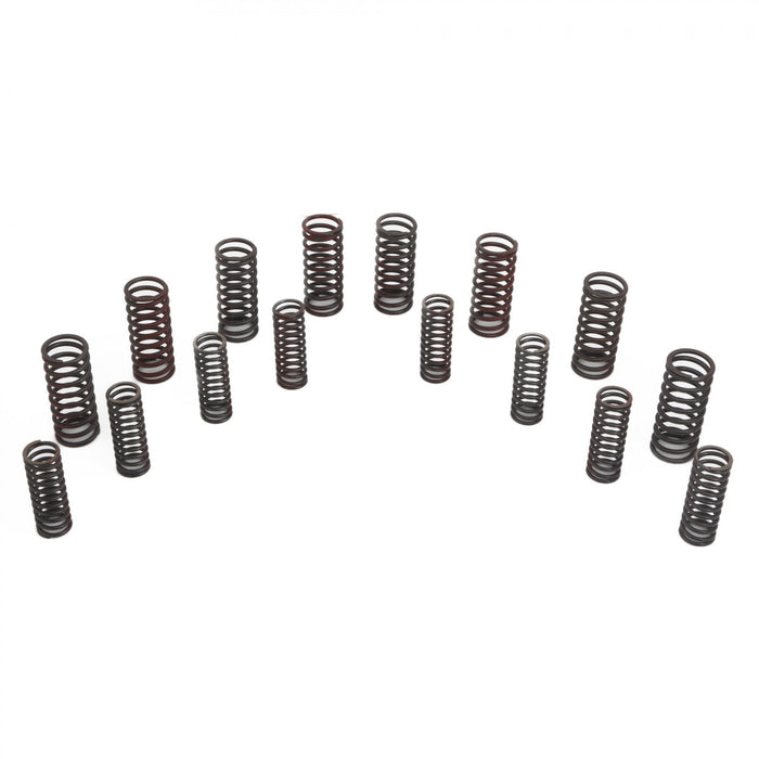 Valve spring set